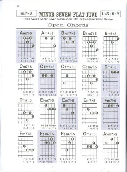 GUITAR CHORDS PG 51_75 - GUITAR CHORDS PG 58.JPG