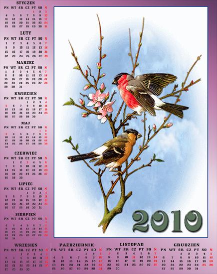 Kalendarze z ptakami - Bez nazwy 84.jpg