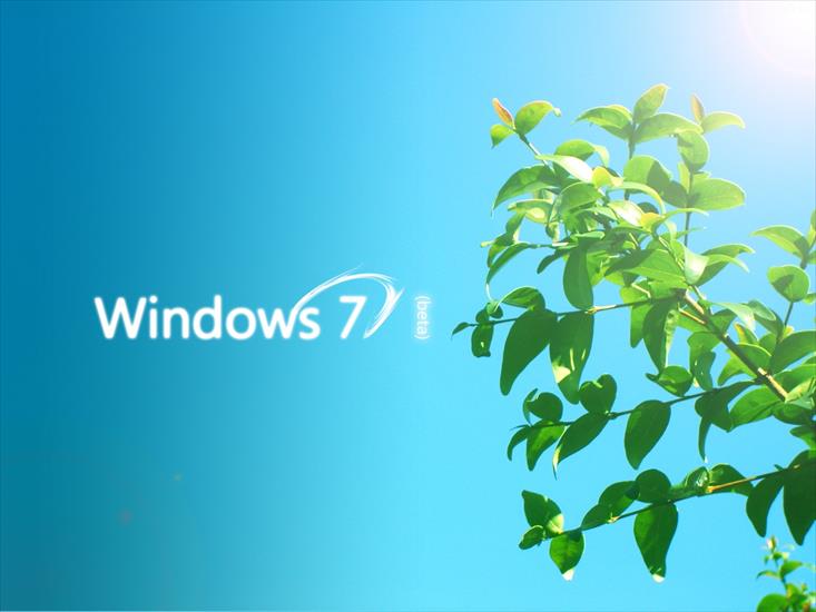 Windows - 59.jpg