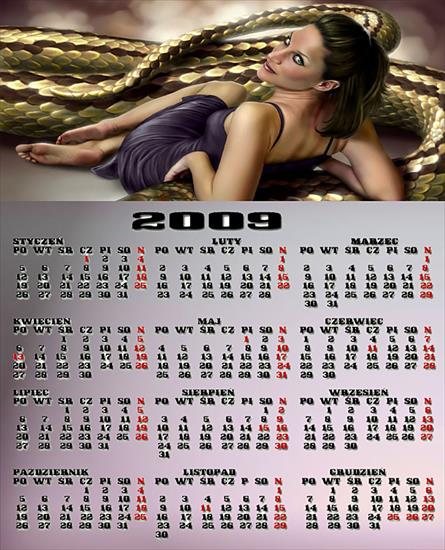 Kalendarze 2009 - Bez nazwy 63 kopia.jpg