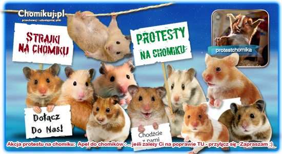  Grafika na chomika - protest baner _czerw dl.png