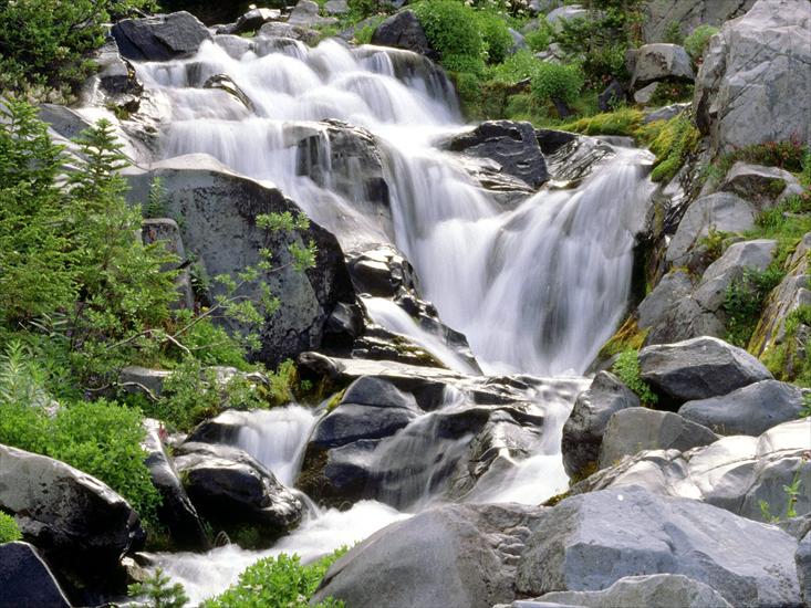 Waterfalls - 13 - Paradise River, Mount Rainier National Park, Washington.jpg