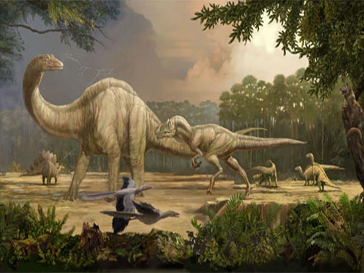Prehistoria - 1144845060_800x600_dinosaur-wallpaper-dinosaur-phictures-dinosaur-photo-dinosaur-images.jpg