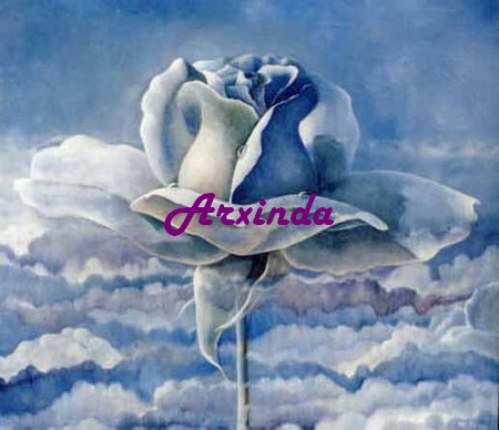 Arxinda - Rose azul.jpg