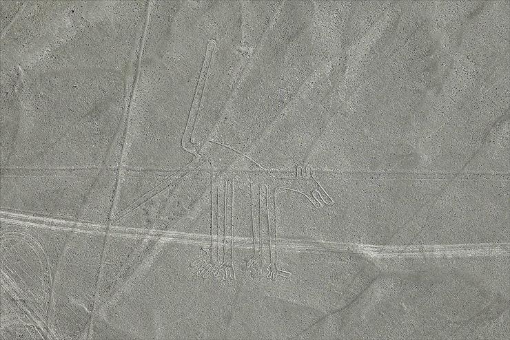 Geoglify - Nazca pies.jpg