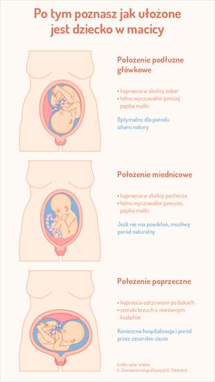 kalendarz rozwoju dziecka  - plod_infografika_6101.jpg