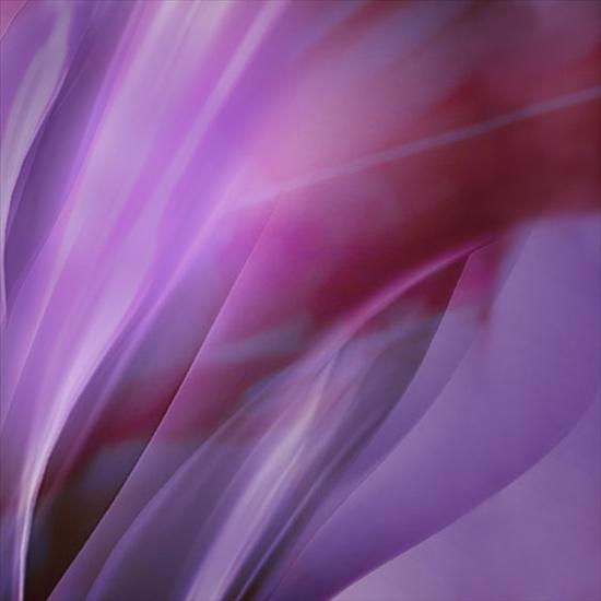 Galeria - Abstract purple.jpg