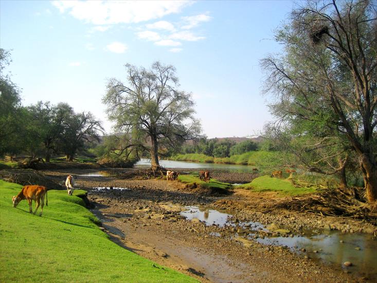 Namibia - pastoral.jpg