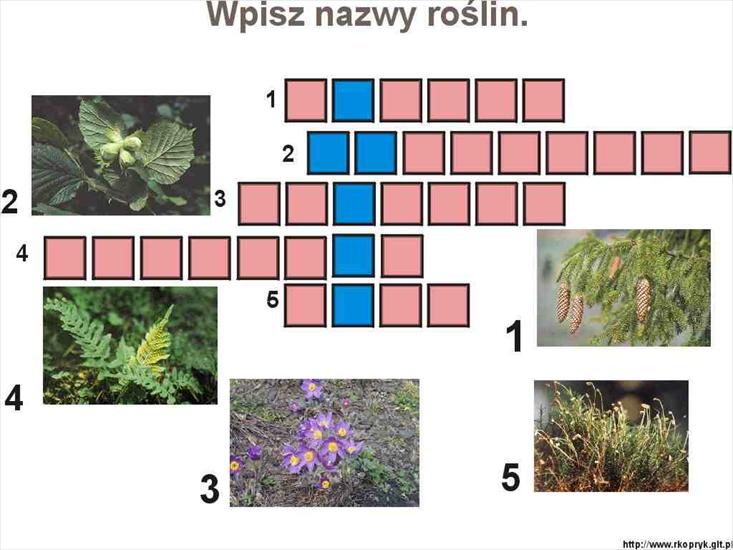 KRZYŻÓWKI I ZAGADKI dla DZIECI - Krzyżówki 130.jpg