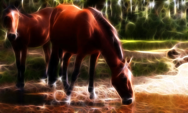 zwierzęta - 69372823_Hazy_Horses_by_RichardatUK.jpg