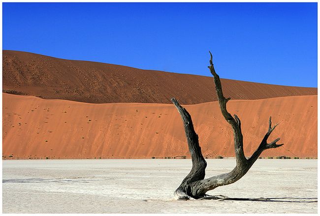X2 - 21.-flickr.-Dead-Vlei-Namibia2.jpg