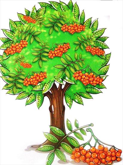 Drzewa liściaste - P8180879.JPG