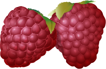 odżywianie - raspberries.png
