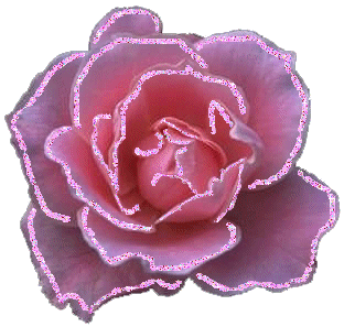 róże - rozowa roza11.png