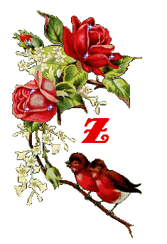 Alfabet z Ptaszkami - 012 - Z.gif