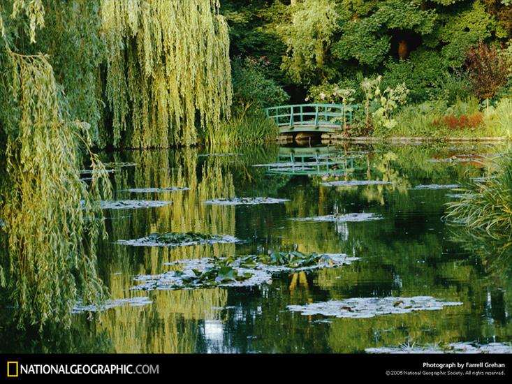 Dokumenty - Monet Pond, Giverny, France, 1989.jpg