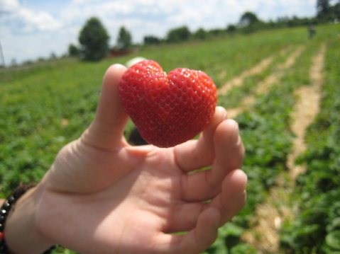 Serce - strawberry-heart-pixdaus-com.jpg