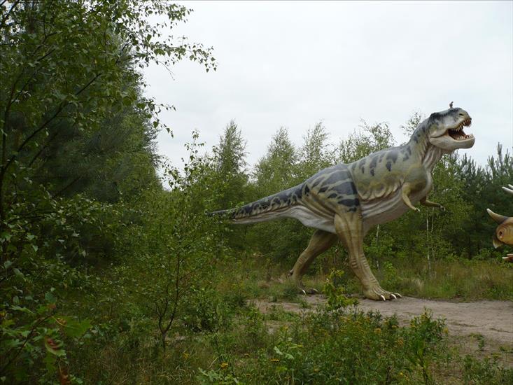 Dinozaury - P1000789.JPG