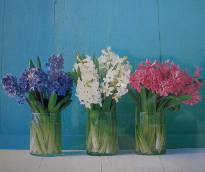 w wazonach - flowers in three vases.jpg