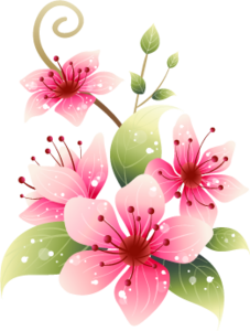 kwiaty bukiety png Chomisia52 - post-45957-1221827643.png
