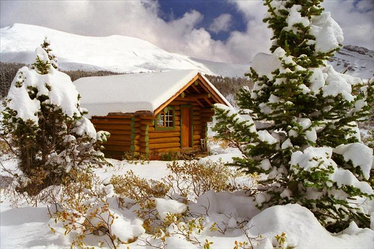 Zima - Cozy Log Cabin, Mount Assiniboine, British Columbia, Canada.jpg