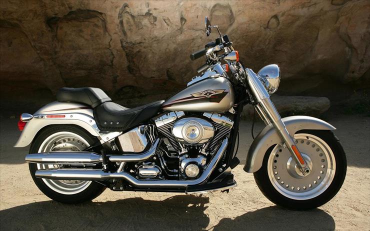 Harley Davidson - Harley 33.jpg